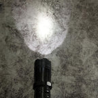 1101 Flashlight Safety Device